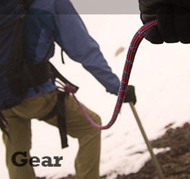 Gear