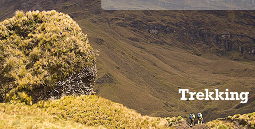 Trekking through the paramo at El Altar